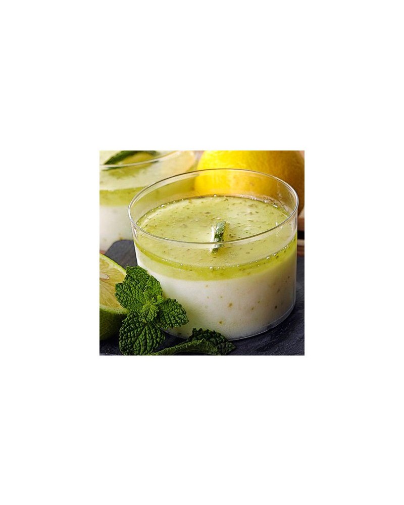 Mojito helado artesano (GOT02)