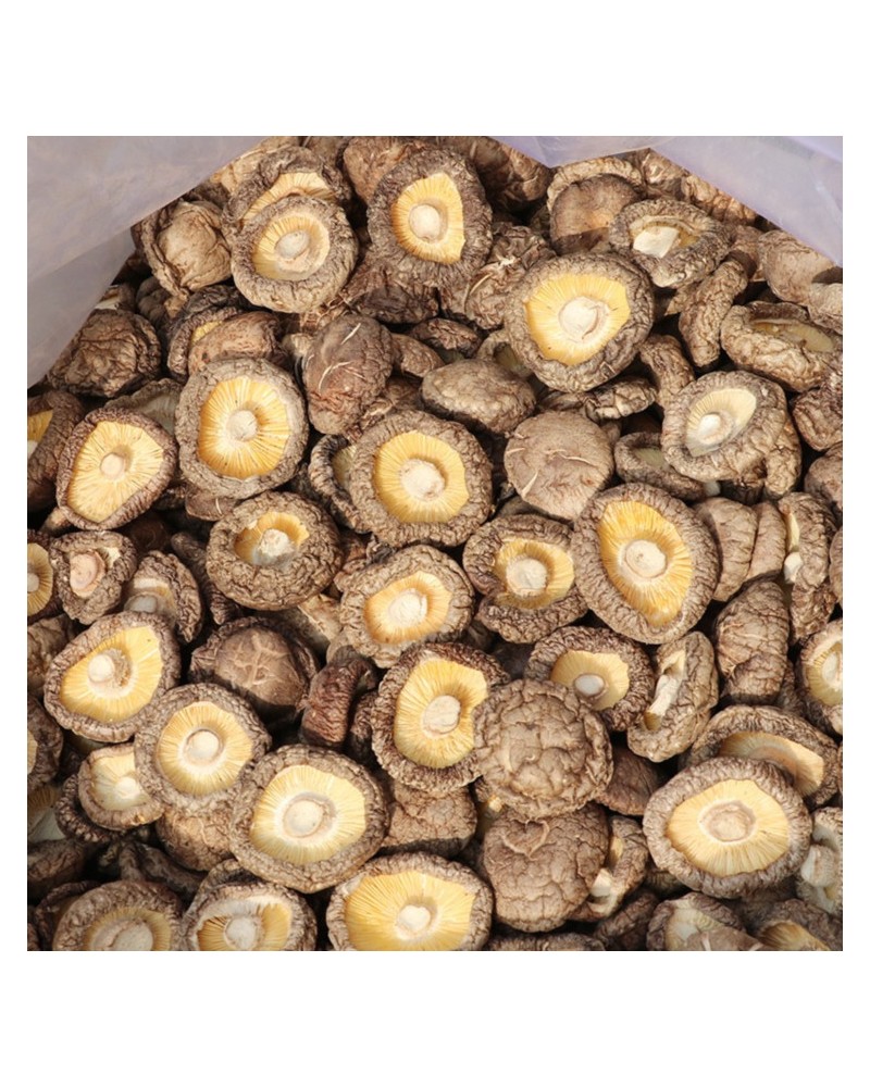 Shiitake Diamond 100gr