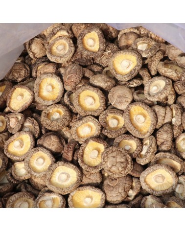 Shiitake Diamond 100gr