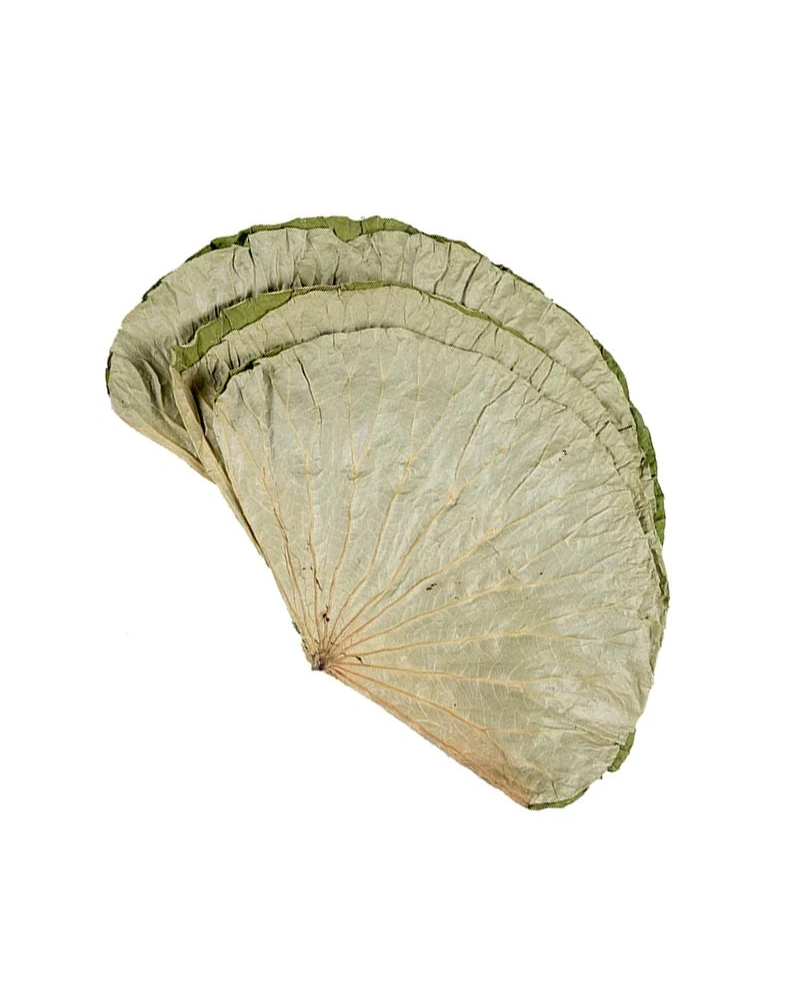 Hoja Lotus 1Kg