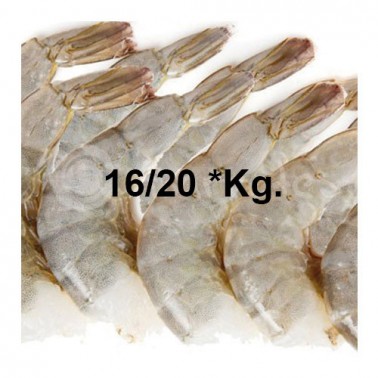 Colas Langostino HLSO 16/20 *Kg