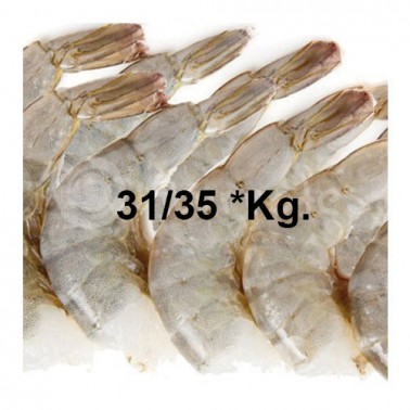 Colas Langostino HLSO 31/35 *Kg