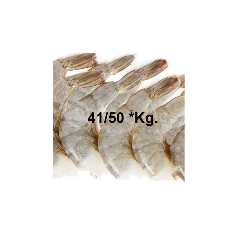 Colas Langostino HLSO 41/50 *Kg