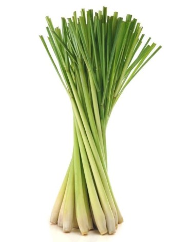 Lemon Grass EMB 200gr