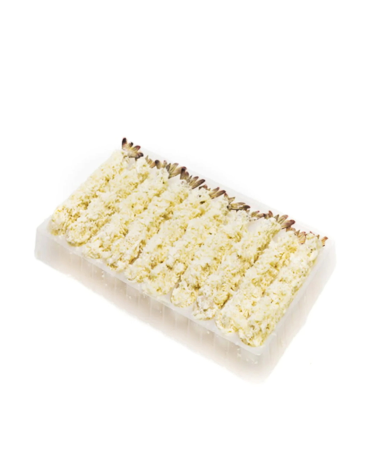 Ebi Fry 2L Microondas (Torpedo) 20gr x 10p