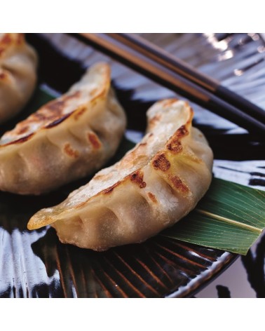 Gyoza Cerdo y Verduras AJM 30pcs