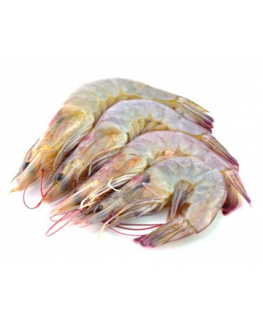 Langostino Tigre 8-12 1Kg