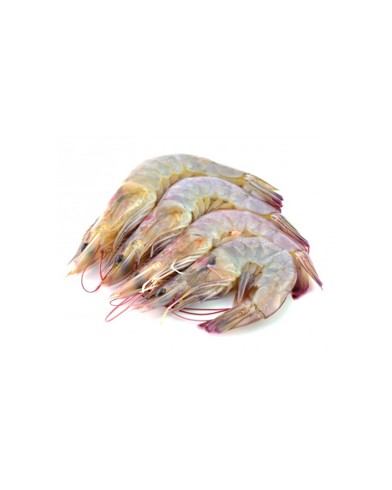 Langostino Tigre 8-12 1Kg