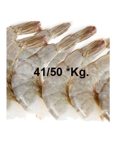 Colas Langostino HLSL 16/20 *Kg