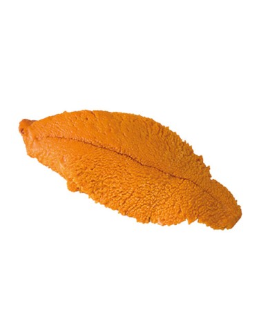 Uni Huevas de Erizo de Canadá 100gr