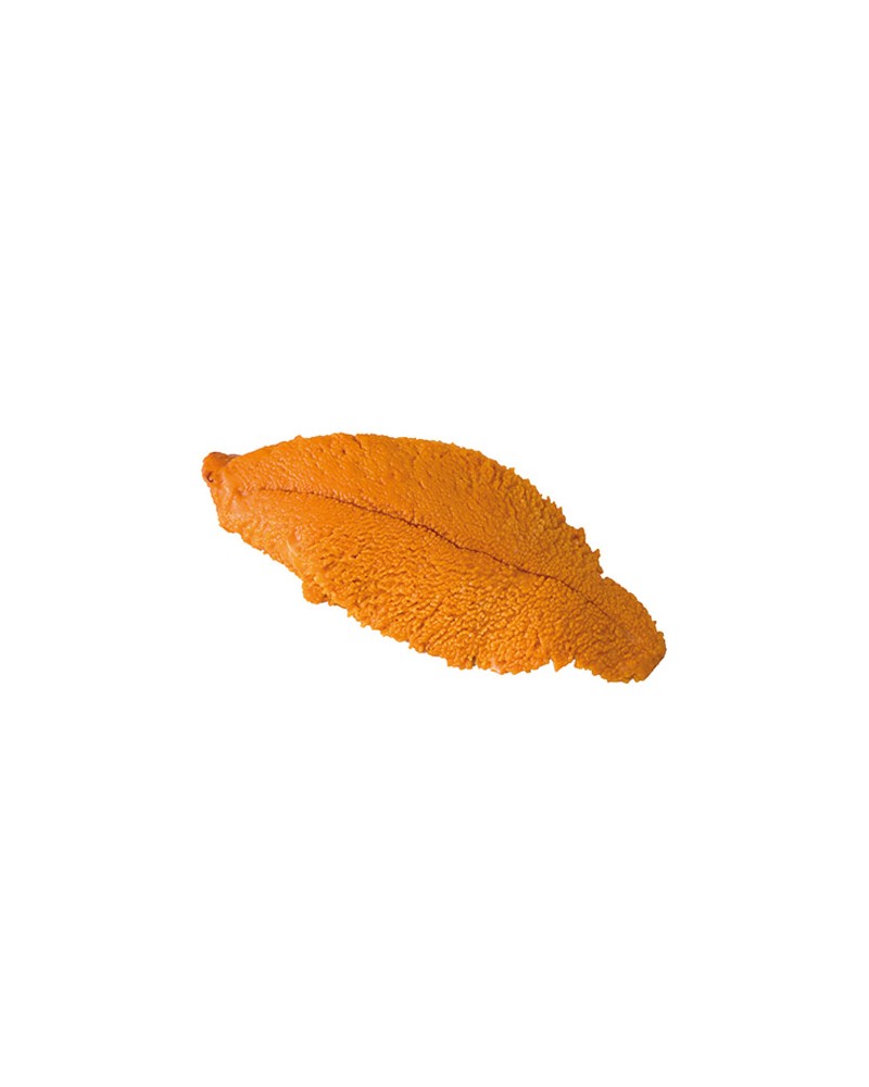 Uni Huevas de Erizo de Canadá 100gr