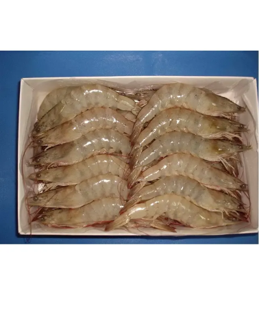 Langostino crudo Vannamei 30/40 2Kg
