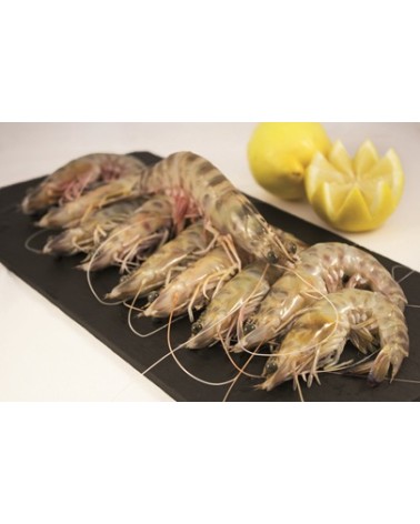 Langostino Tigre 16-20 1Kg