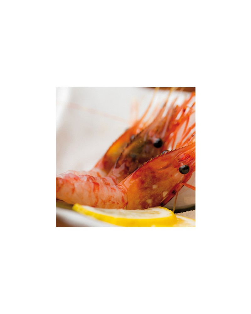 Amaebi Gamba Dulce 70/90 1Kg