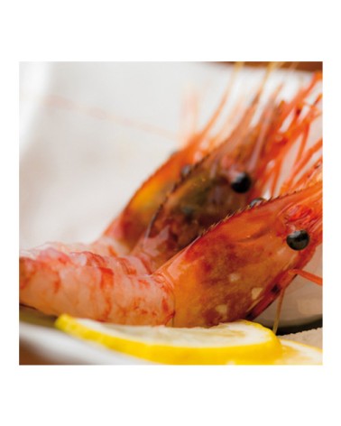 Amaebi Gamba Dulce 70/90 1Kg