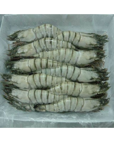 Langostino Tigre 16-20 1Kg