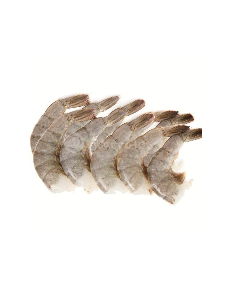 Colas Langostino HLSO 26-30 2Kg