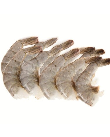 Colas Langostino HLSO 31-35 2Kg