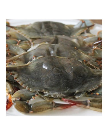 Cangrejo de Concha Blanda Hotel 1Kg 55gr (18p)