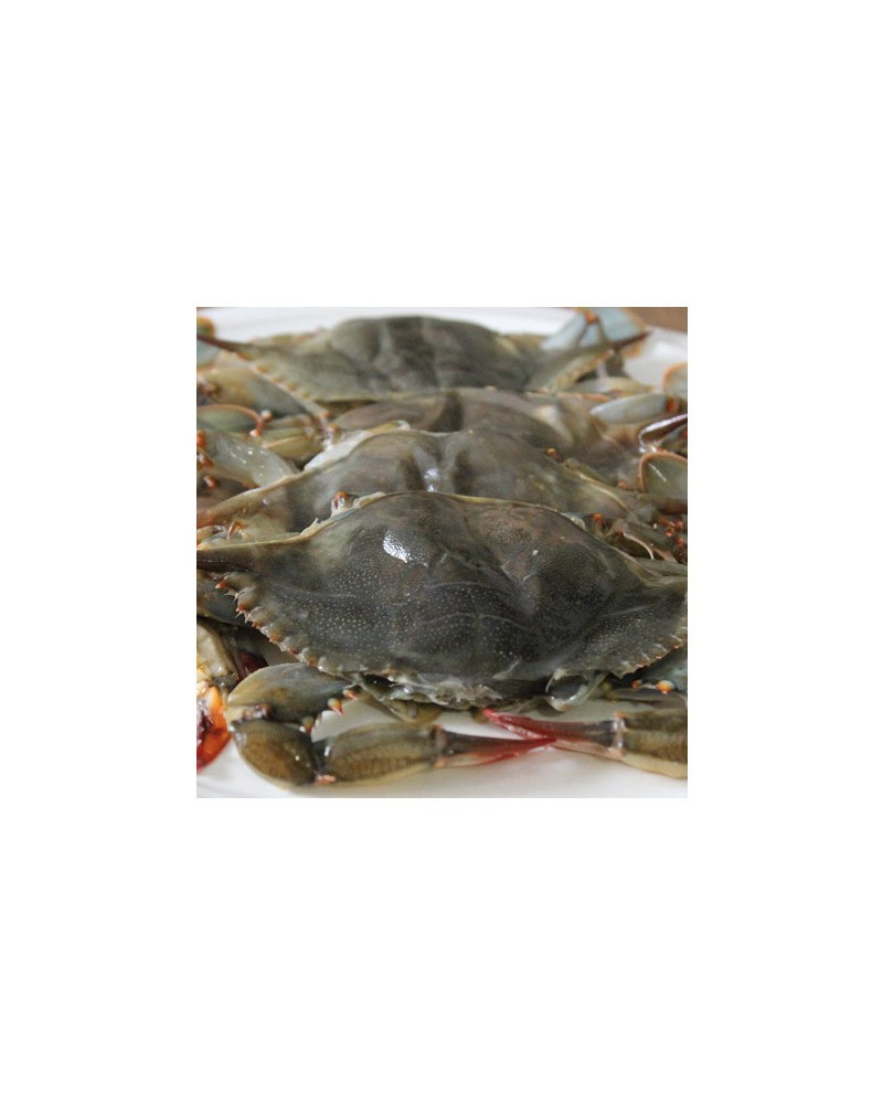 Cangrejo de Concha Blanda Primes 1Kg 80gr (14p)