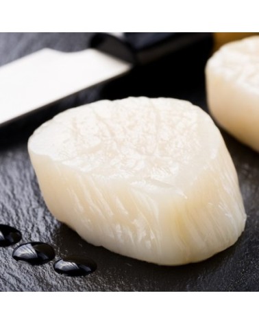 Vieiras Calibre 10/20 1Kg Japón