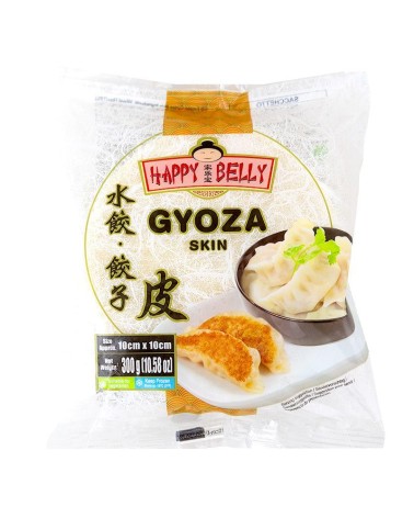 Pasta de Gyoza TYJ 300gr