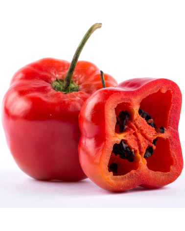 Rocoto Congelado Sandino 500gr