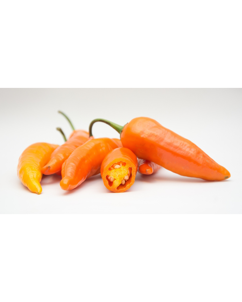 Aji Amarillo Del Valle Lojano 300gr