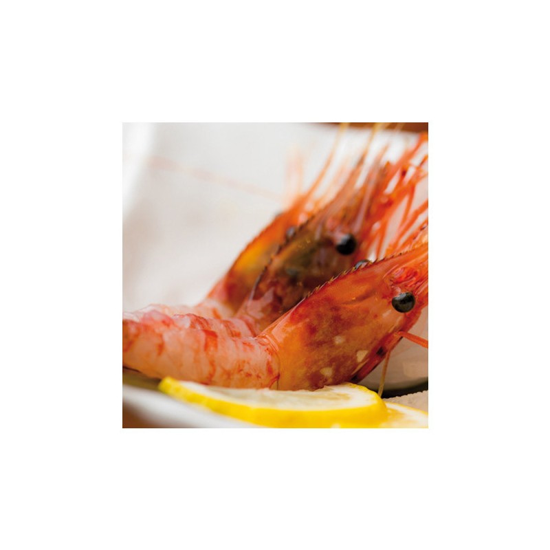 Amaebi Gamba Dulce 60/80 1Kg