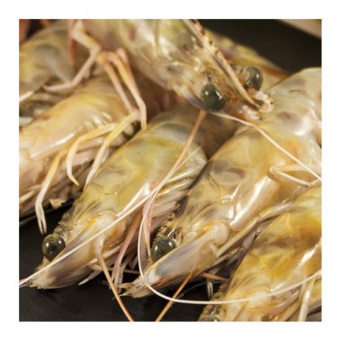 Langostino Tigre 13/15 1Kg