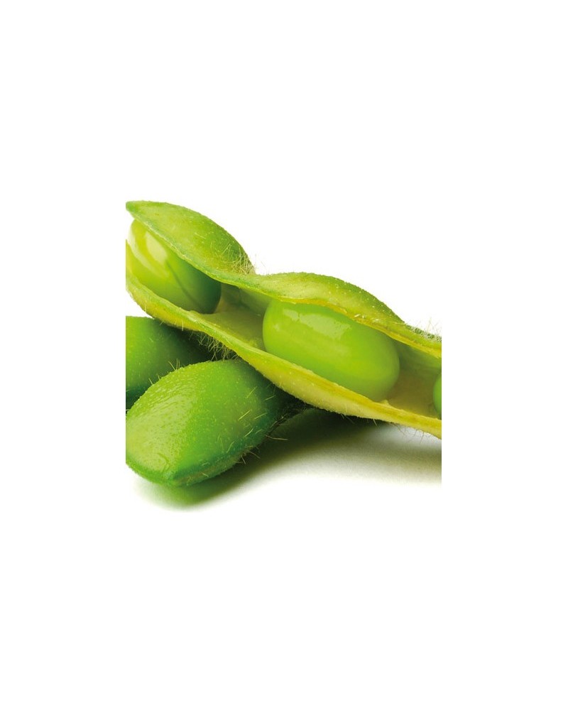 Edamame Seacon 500gr