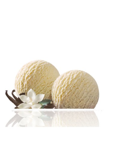 Helado Crema Vainilla Menú 5L
