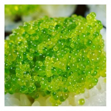 Masago Huevas de capelán wasabi 1Kg